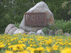 PRIDE Institute Eden Prairie Minnesota