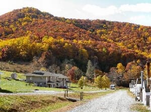 First Step Farm - Men's Program Candler North Carolina