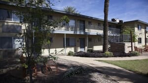 Elm Tree Recovery Tempe Arizona